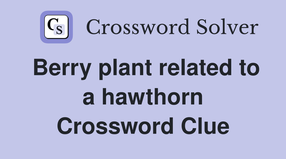 Berry plant related to a hawthorn Crossword Clue Answers Crossword